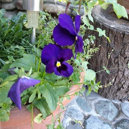 Nina B&B Dilijan Luaran gambar